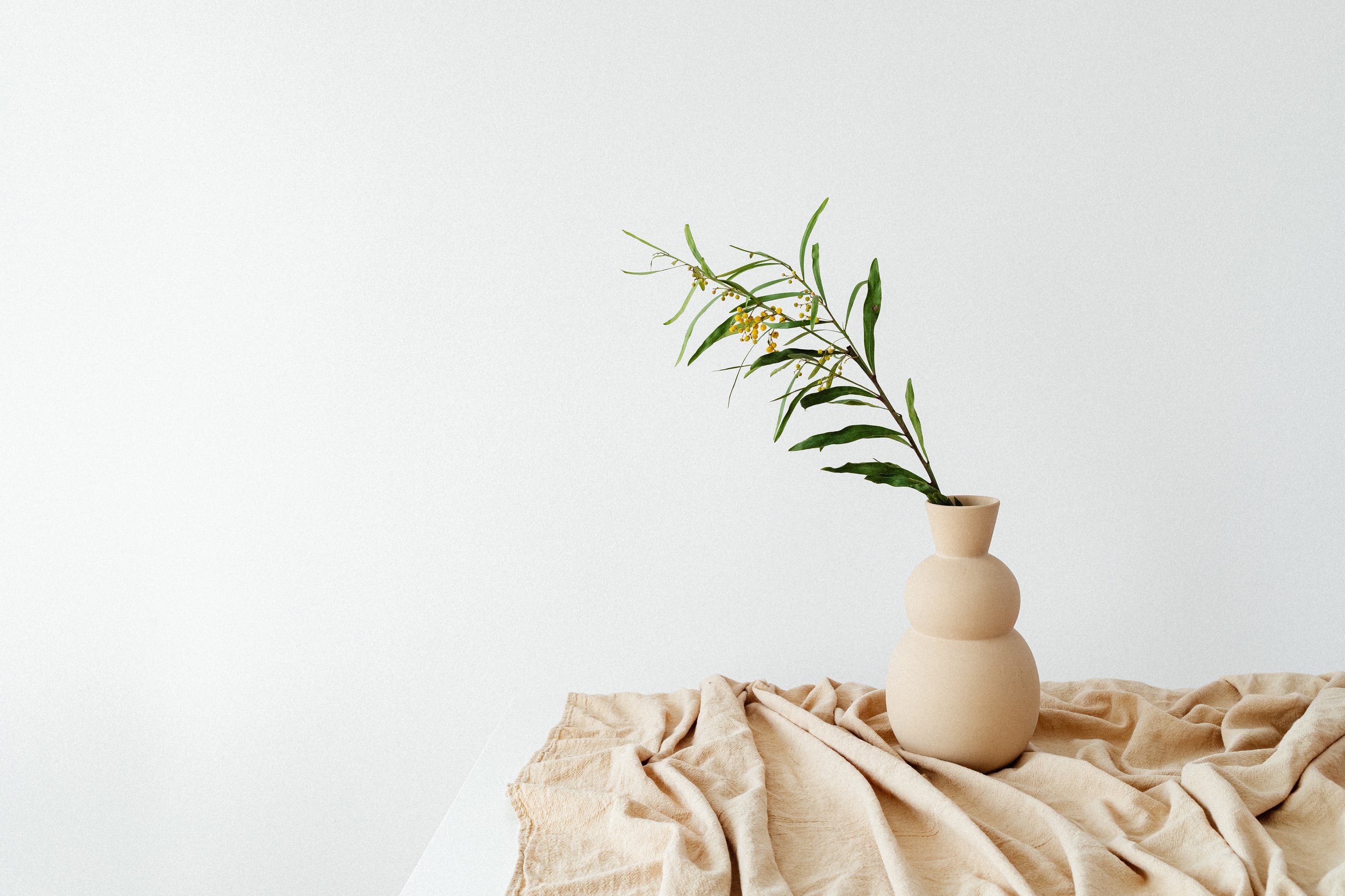 Green Leaves in a Ceramic Pot